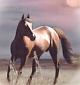HorsesOnly.com